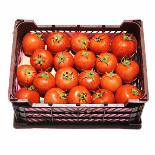 Tomato 5Kg