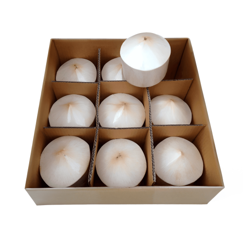 Coconut Tender Box (9 pieces)