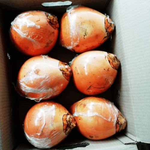 Coconut King/Yellow Box 6pcs