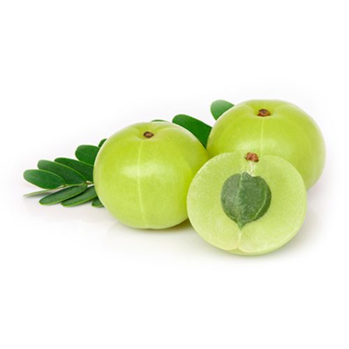 Gooseberry (Amla)