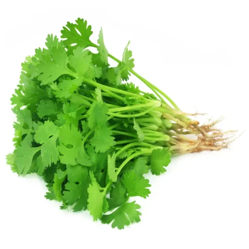 Coriander Leaves Premium 70-80g