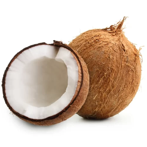 Coconut Brown 1 piece