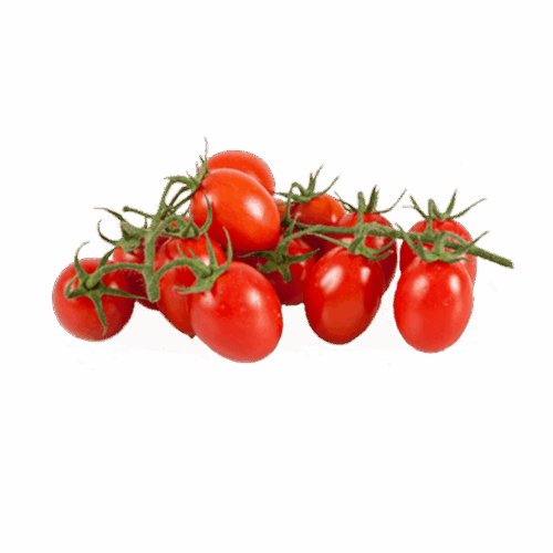 Tomato Datterino bunch 250g