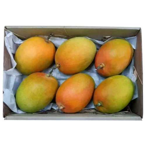 Mango RTE-5KG
