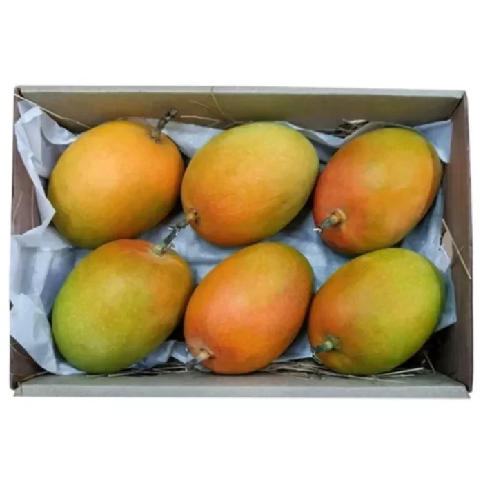 Mango RTE-5KG