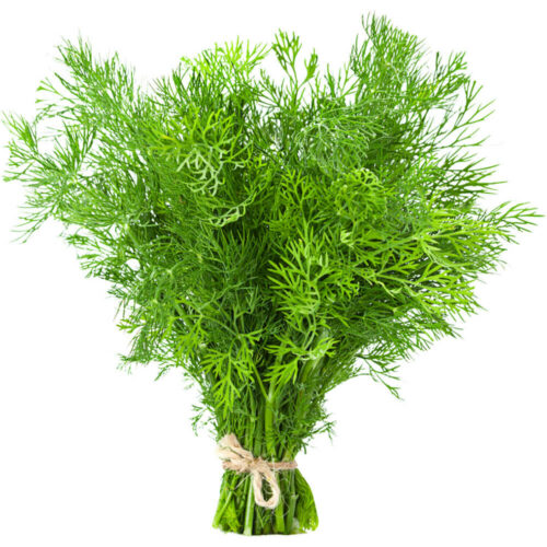 Dill Leaves Premium 70-80g