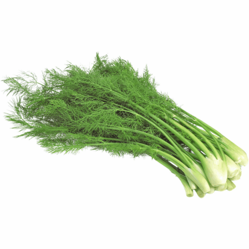Fennel Leaves Premium 70-80g