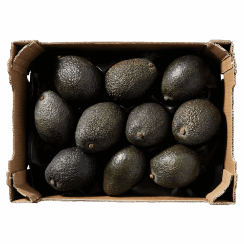 Avocado Hass Box  (4Kg)