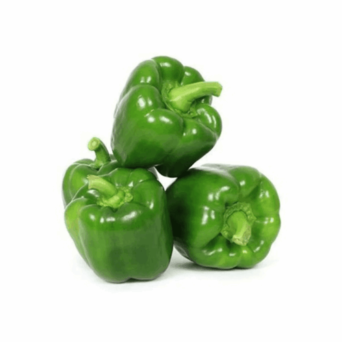 Capsicum Green