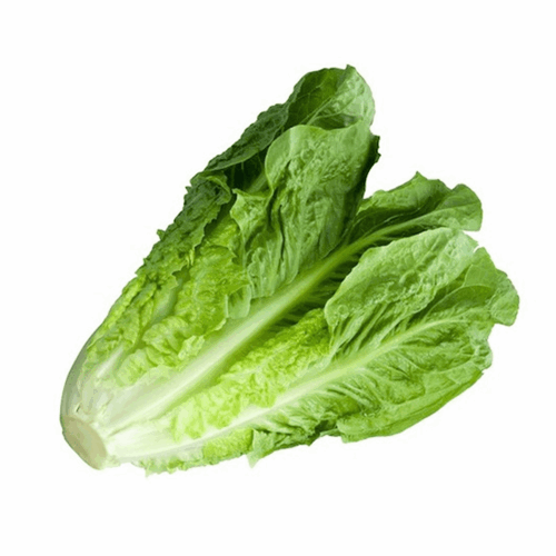 Lettuce Romaine 350-450g