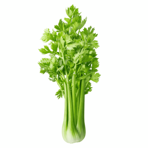 Celery Stick 500g