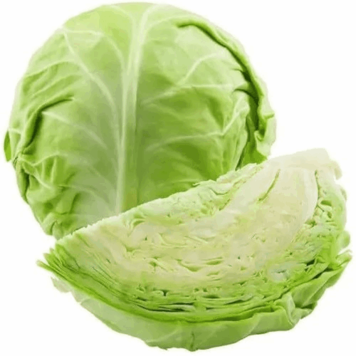 Cabbage 1-1.8kg