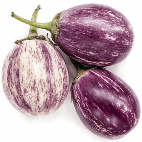 Baby Eggplant