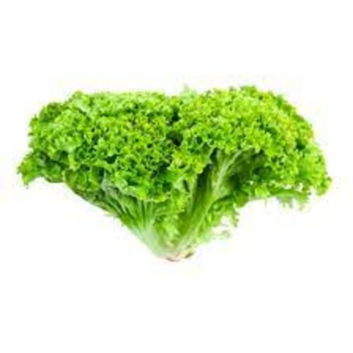 Lettuce Lollo Bionda 200-300g